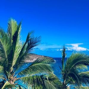 Meet your Posher, Scar